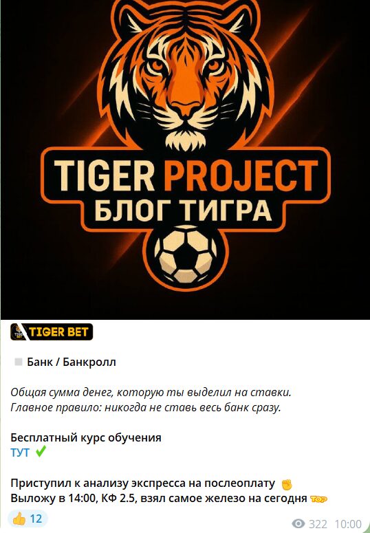 Платные экспрессы на канале в телеграмме Tiger Project