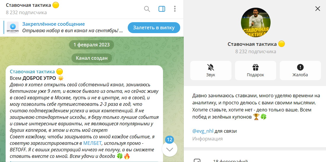 Что известно о канале ТГ Силовой прогноз на хоккей