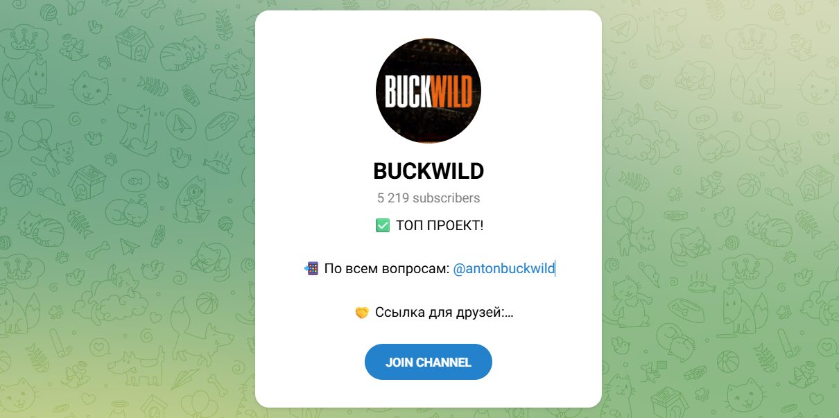 Внешний вид телеграм канала BUCKWILD