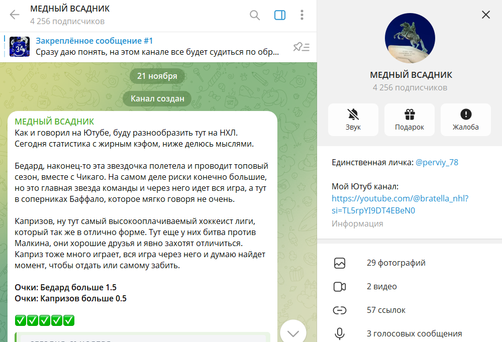 Дата регистрации и направление деятельности на канале ТГ Медный всадник