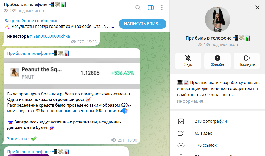 Обзор канала в телеграмме Доход ОНЛАЙН с услугами по раскрутке