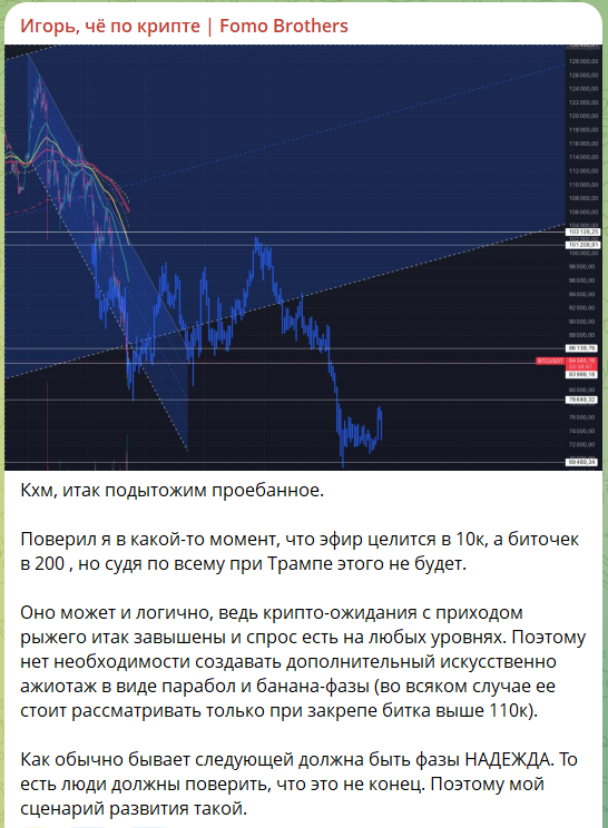 Обзор криптовалюты на канале Игорь, че по крипте Fomo Brothers