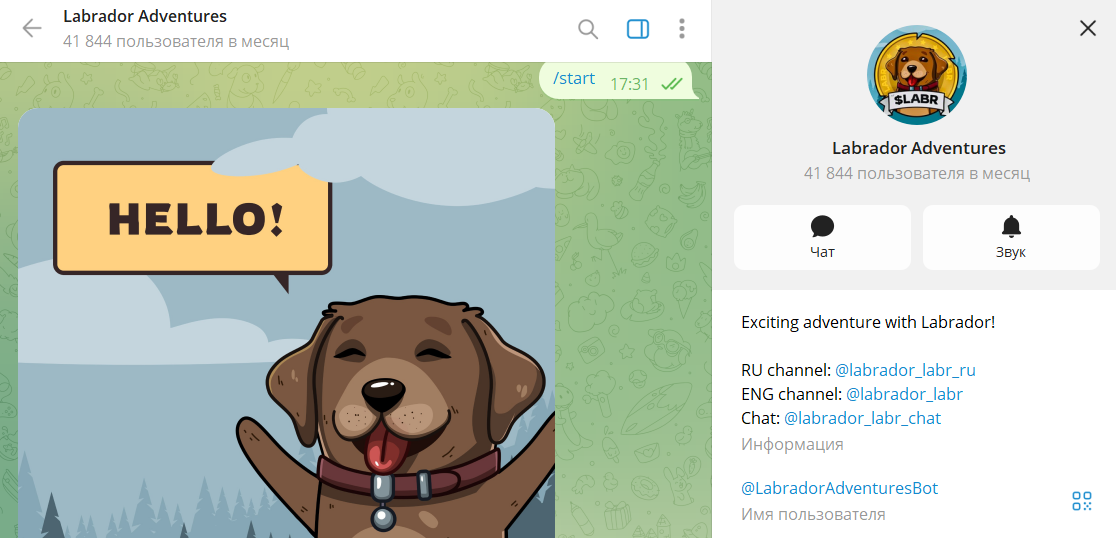 Вводные данные по мини приложению Labrador Adventures в ТГ