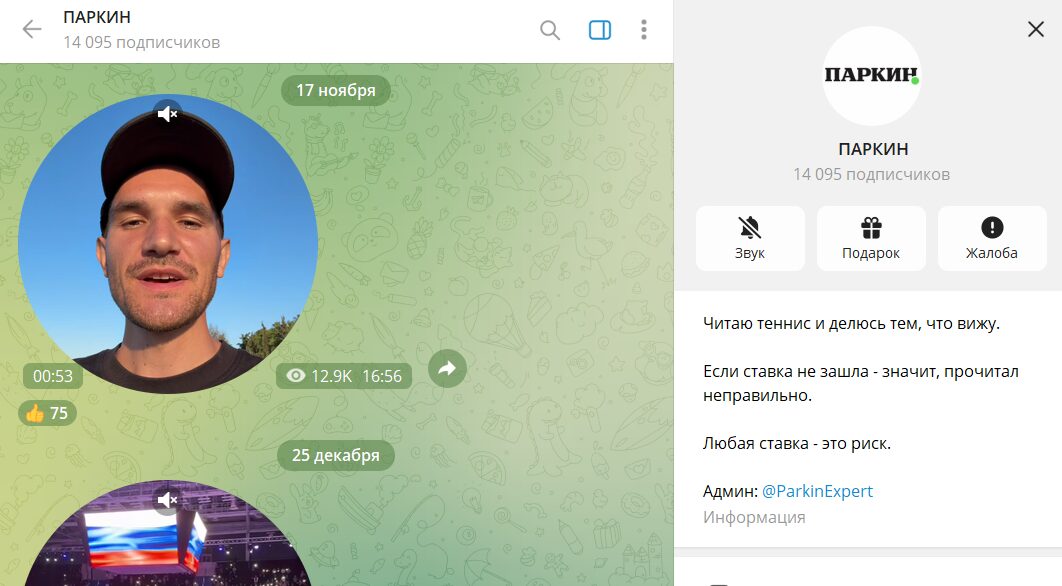 Сведения о канале Телеграм каппера Дмитрия Паркина