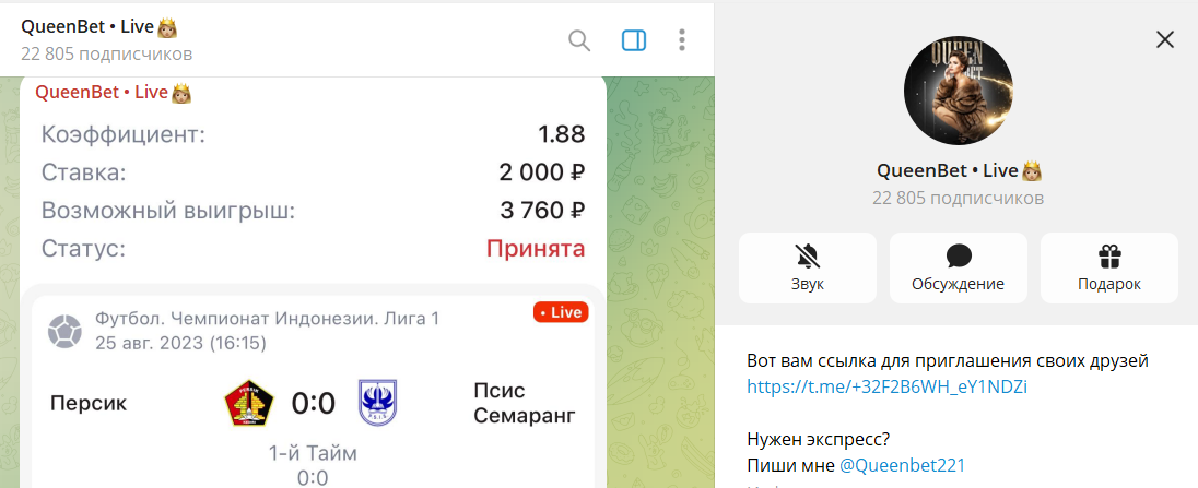 Дата регистрации канала Telegram QueenBet • Live