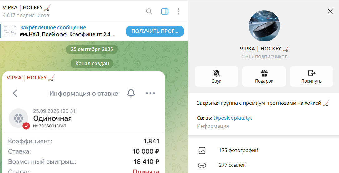 Дата регистрации канала в телеграмме VIPKA HOCKEY