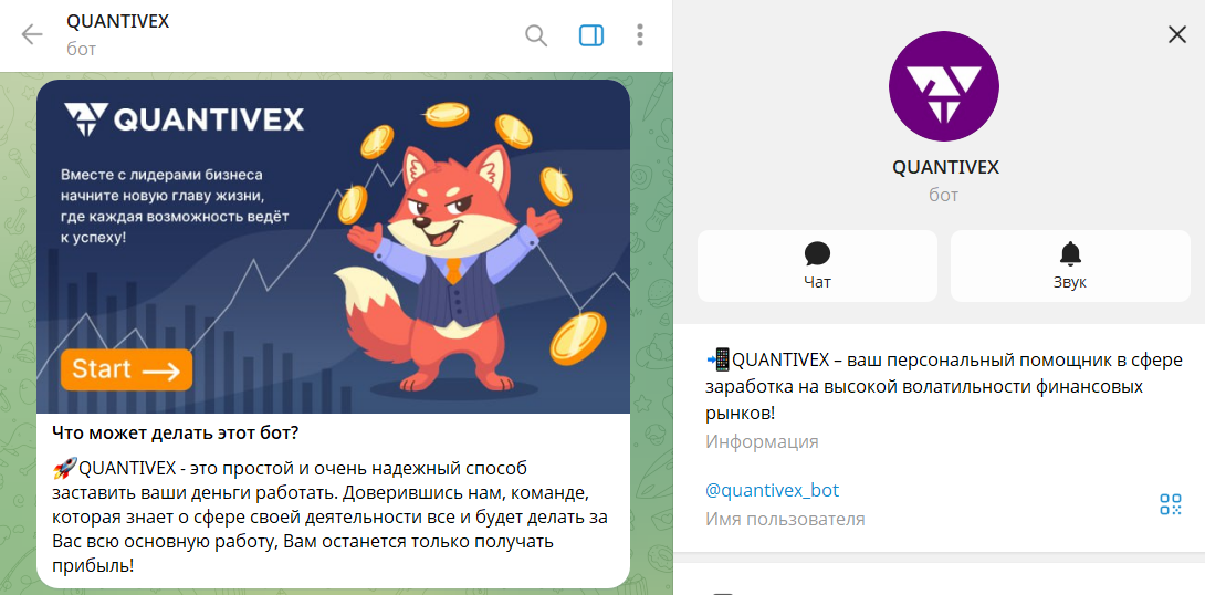 Описание телеграмм бота QUANTIVEX @quantivex_bot