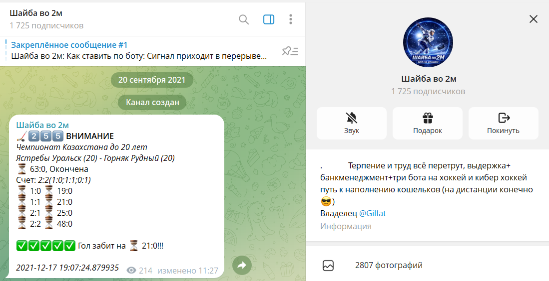 Что известно о проекте в телеграмме Шайба во 2м