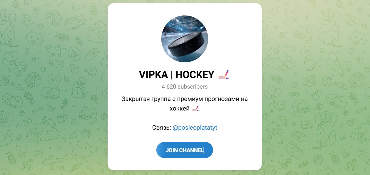 Внешний вид телеграм канала VIPKA HOCKEY