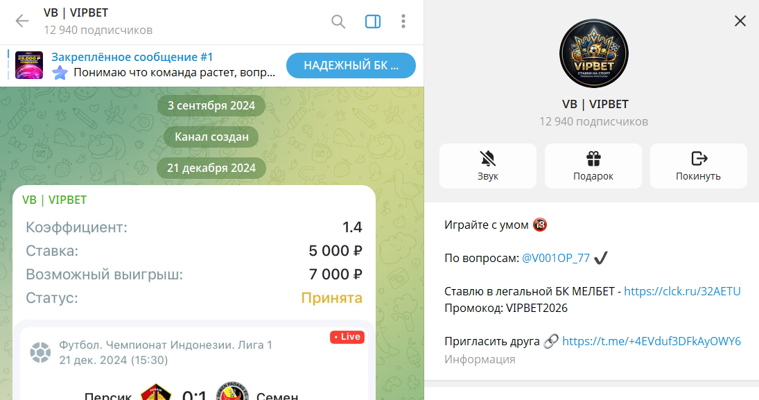 Вводная информация по проекту в телеге VB VIPBET