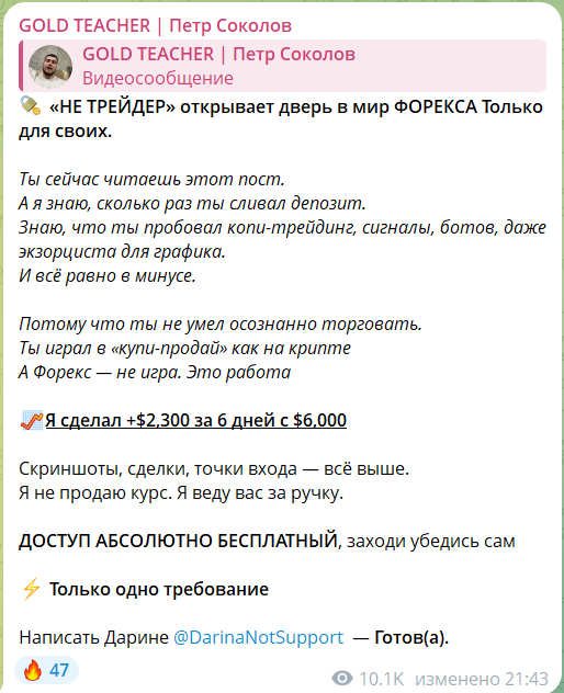 Закрытый VIP чат GOLD TEACHER Петр Соколов