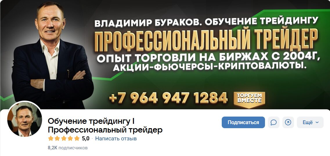 Внешний вид проекта Профессиональный трейдер Владимир Бураков