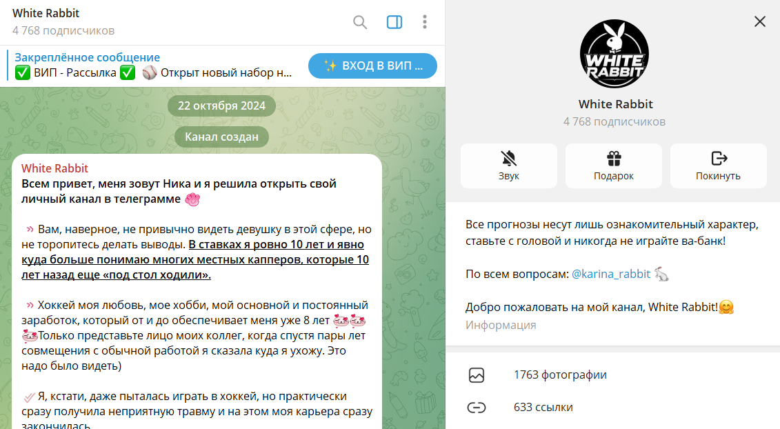 Дата регистрации и направление деятельности на White Rabbit