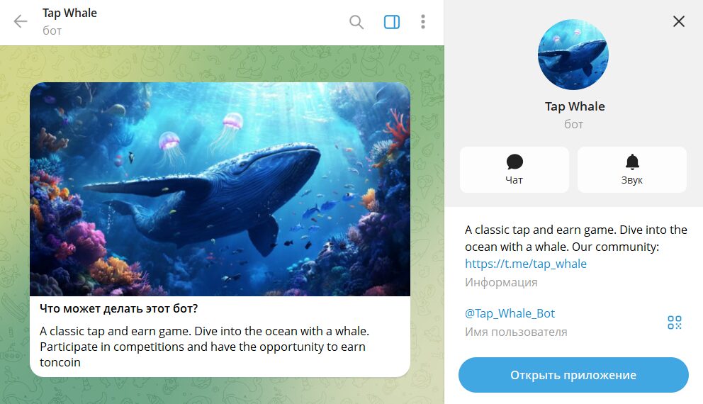 Обзор бота в телеграмме Tap Whale @Tap_Whale_Bot