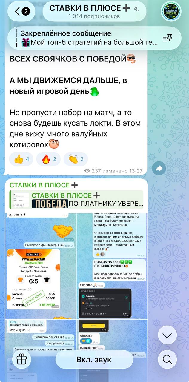 Статистика на канале в телеграмме Ставки в плюсе