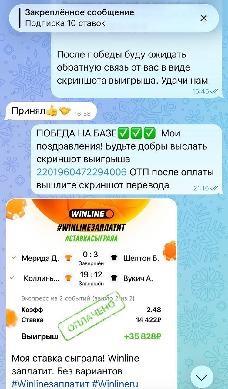 Статистика на канале в телеграмме Ставки в плюсе