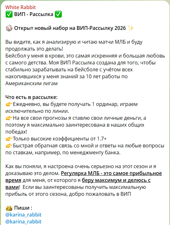 VIP рассылка White Rabbit в приватном телеграмм-канале