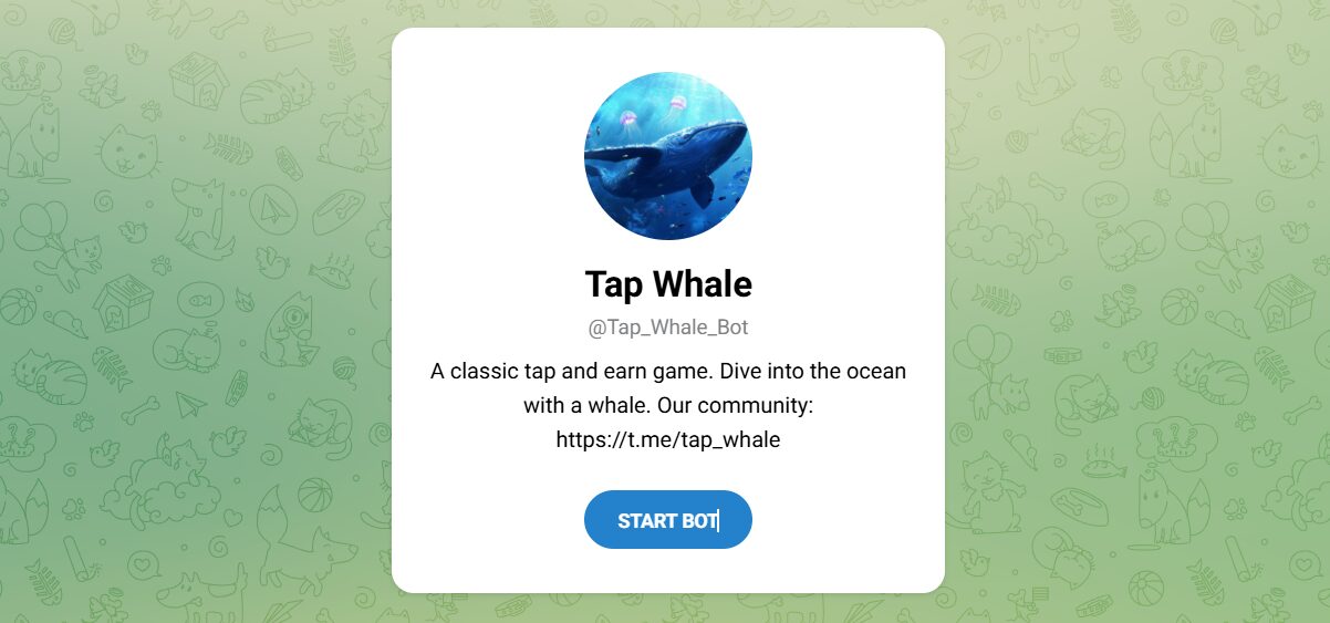 Внешний вид телеграм бота Tap Whale Внешний вид телеграм бота Tap Whale