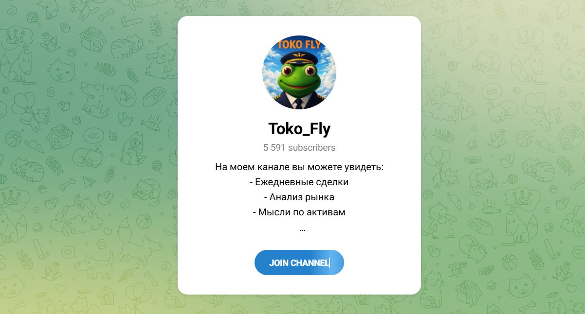 Внешний вид телеграм канала Toko_Fly