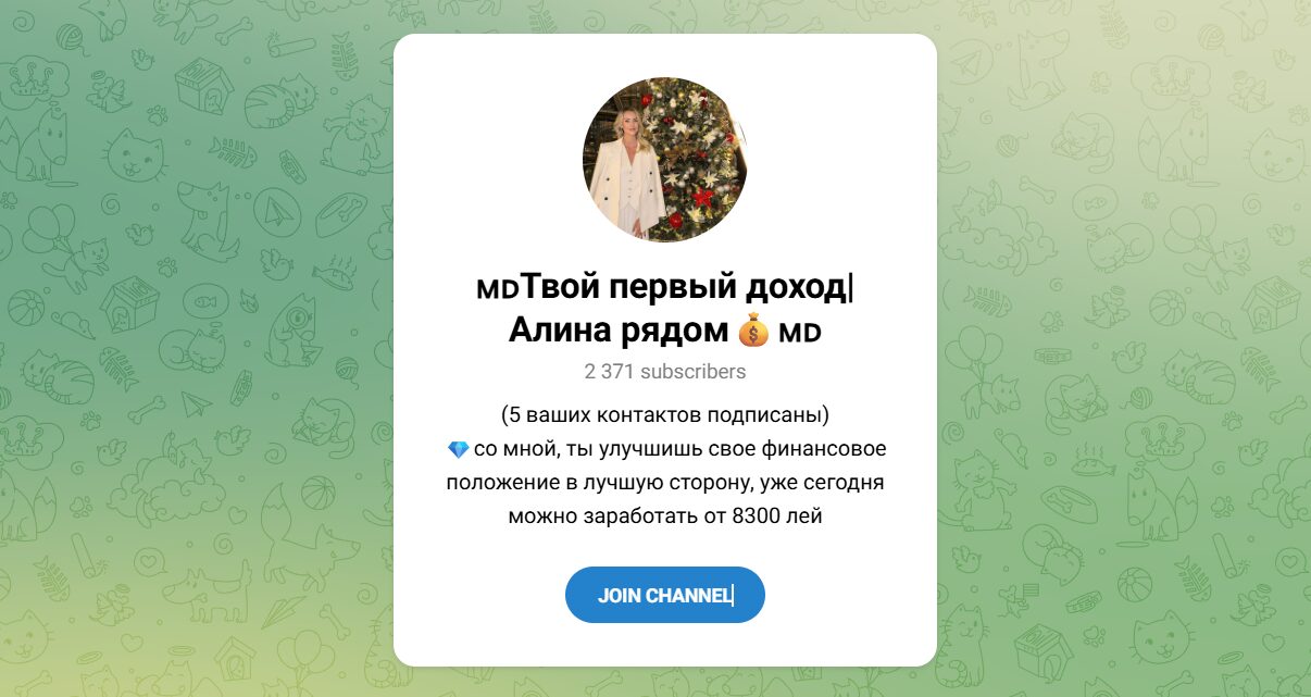 Внешний вид телеграм канала Твой первый доход Алина рядом