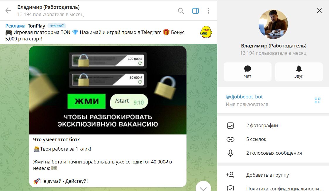 Информация по боту TG Владимир (Работодатель) @djobbebot_bot