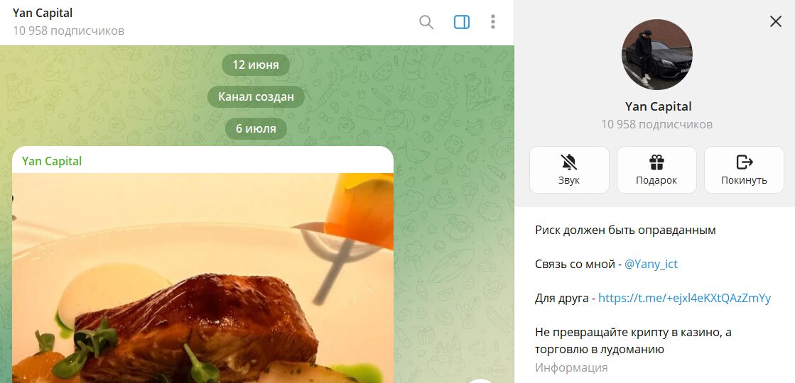 Описание телеграмм-канала Yan Capital с сигналами