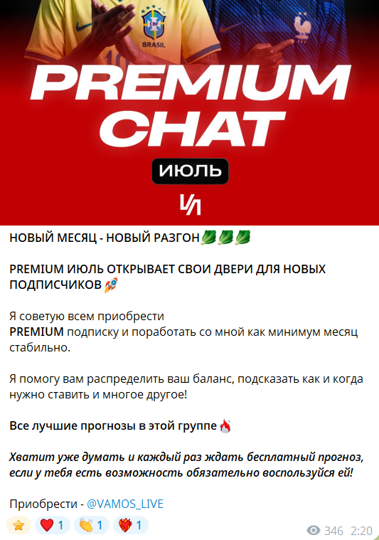 Платная подписка PREMIUM CHAT на канале TG Live • Vamos GO