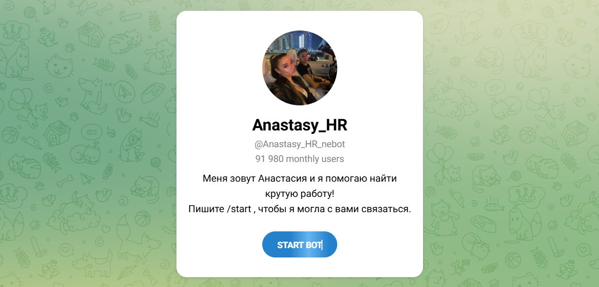 Внешний вид телеграм бота Anastasy HR Внешний вид телеграм бота Anastasy HR