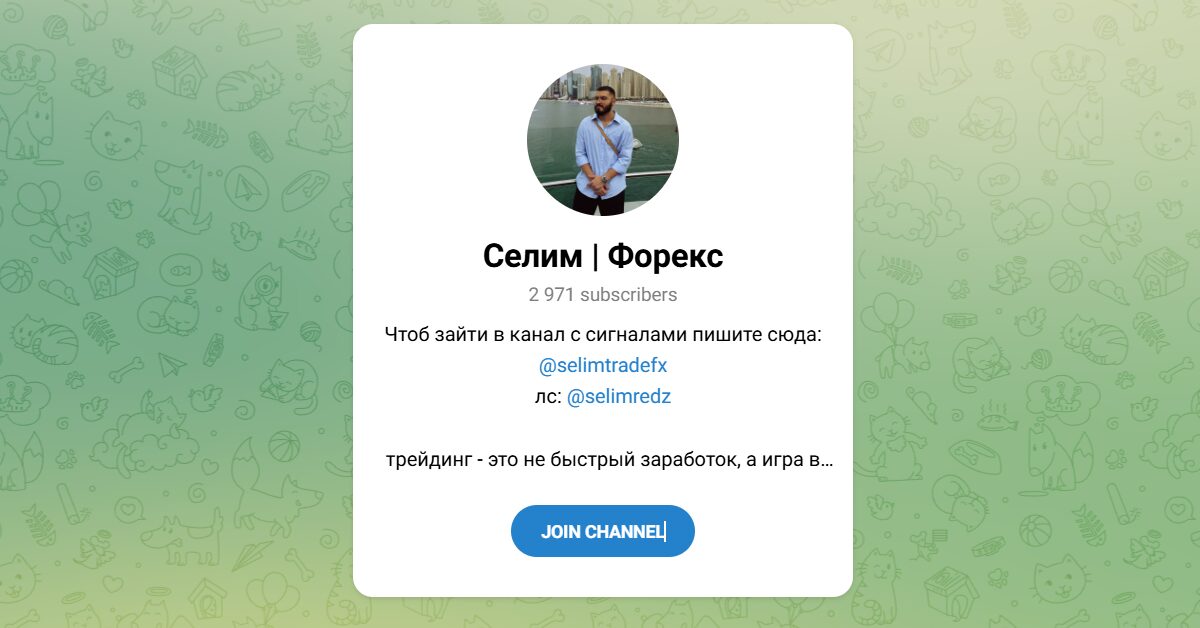 Внешний вид телеграм канала Селим Форекс