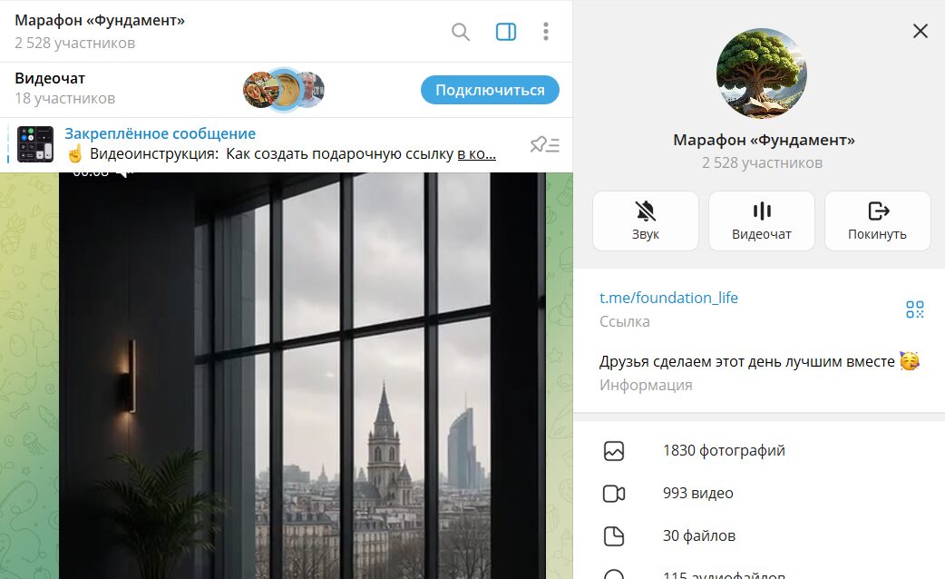 Вводные данные по группе Telegram Марафон «Фундамент»
