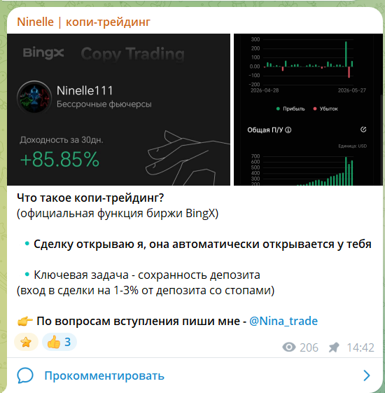 Статистика по копитрейдингу на канале Ninelle @Nina_trade