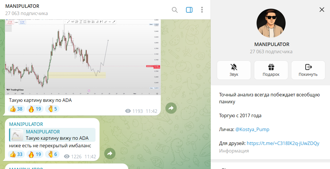 Вводная информация по каналу в телеграмме MANIPULATOR