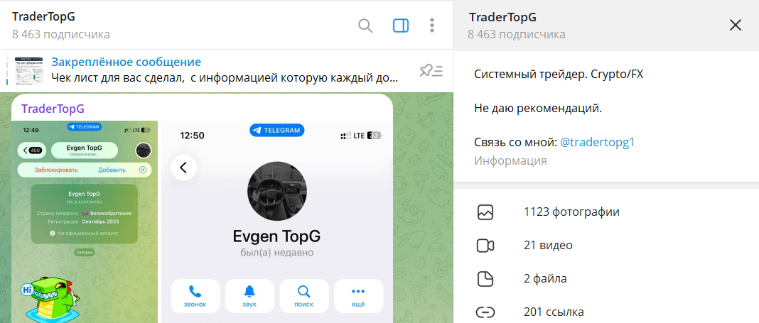 Вводные данные по телеграмм-каналу TraderTopG