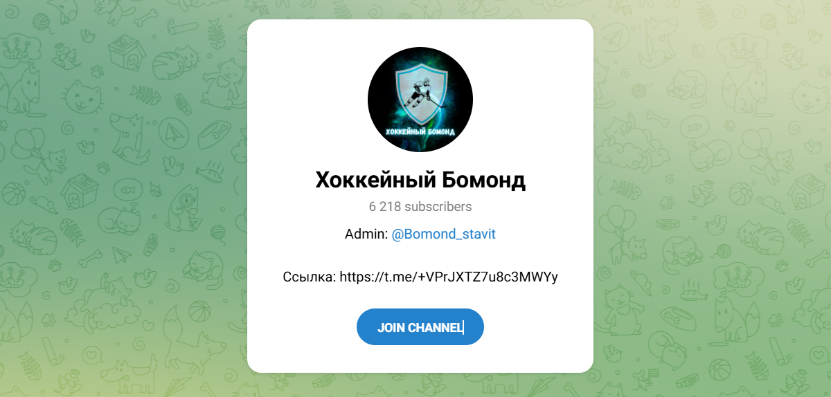 Внешний вид телеграм канала Хоккейный бомонд